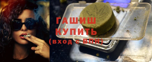 индика Ельня