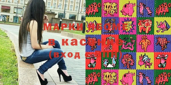 индика Ельня