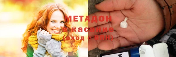 индика Ельня
