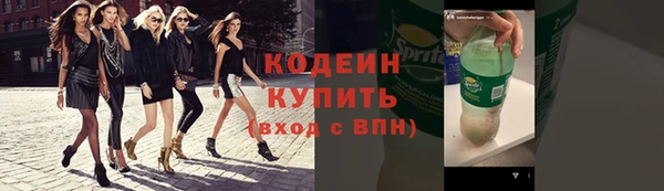 индика Ельня