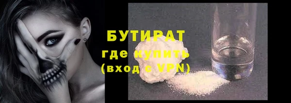 индика Ельня