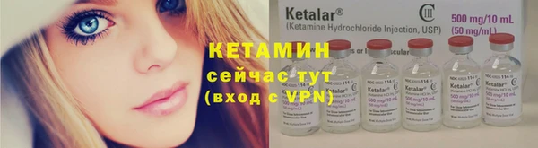 индика Ельня