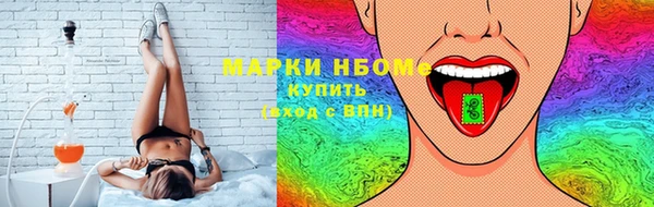 индика Ельня