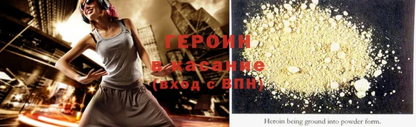 индика Ельня
