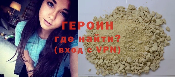 индика Ельня