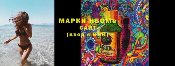 индика Ельня