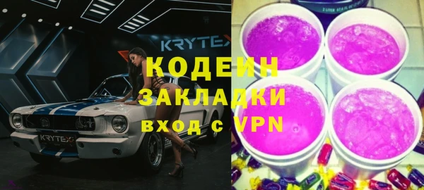 индика Ельня