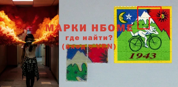 индика Ельня