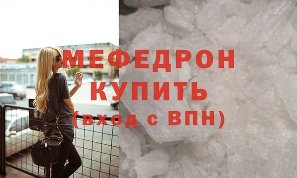 индика Ельня