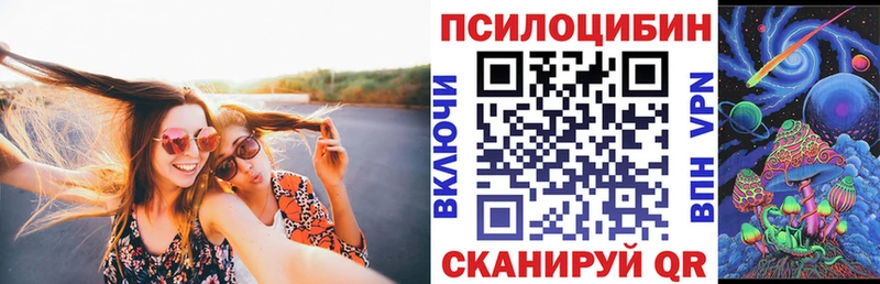 закладка Заволжье гидра как зайти Псилоцибиновые грибы Cubensis