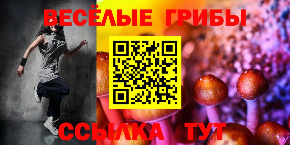 Псилоцибиновые грибы Psilocybine cubensis Заволжье