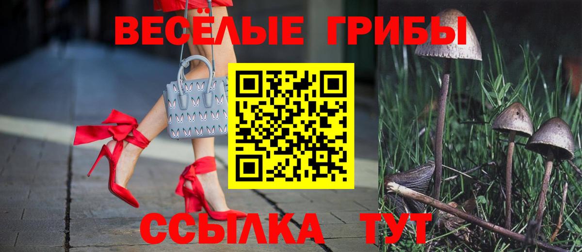 Псилоцибиновые грибы Psilocybe  Галлюциногенные грибы ЛСД  Вход с VPN  Заволжье 